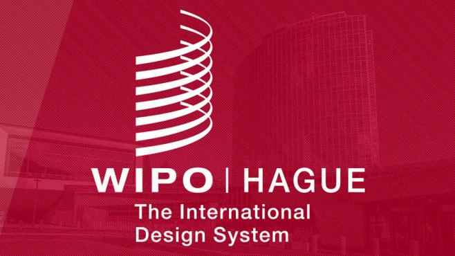 海牙体系国际外观设计